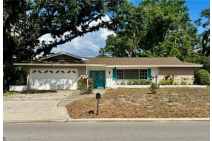 677 Pinewood Dr, DUNEDIN 677 Pinewood Dr, DUNEDIN