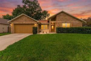 3533 SPRINGVILLE DRIVE, VALRICO, FL 33596 - MLS#MFRTB8493801