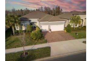 19267 SHIP WHEEL WAY, LAND O LAKES, FL 34638 - MLS#MFRTB8493806