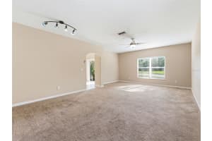 15123 DEER MEADOW DRIVE, LUTZ, FL 33559 - MLS#MFRTB8493812