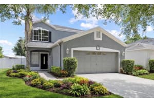 8421 QUARTER HORSE DRIVE, RIVERVIEW, FL 33578 - MLS#MFRTB8493816