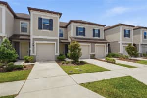 31535 BLUE PASSING LOOP, WESLEY CHAPEL, FL 33545 - MLS#MFRTB8493833