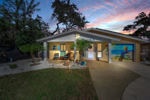 1000 CRANE COURT, DUNEDIN, FL 34698 - MLS#MFRTB8493842