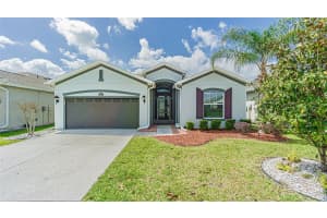 9936 GAP WEDGE DRIVE, SAN ANTONIO, FL 33576 - MLS#MFRTB8493850
