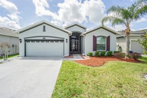 9936 GAP WEDGE DRIVE, SAN ANTONIO, FL 33576 - MLS#MFRTB8493850