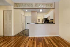 4107 CHATHAM OAK COURT, TAMPA, FL 33624 - MLS#MFRTB8493862