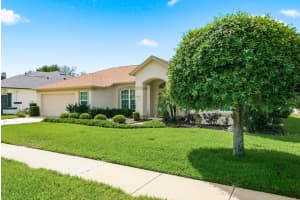 537 BELTED KINGFISHER DRIVE, PALM HARBOR, FL 34683 - MLS#MFRTB8493912