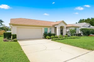 537 BELTED KINGFISHER DRIVE, PALM HARBOR, FL 34683 - MLS#MFRTB8493912