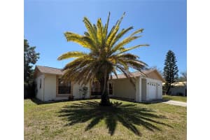 3052 SALTON STREET, HOLIDAY, FL 34691 - MLS#MFRTB8493940