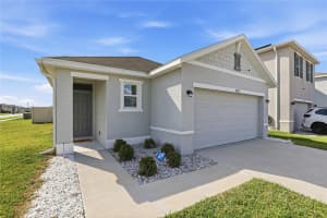 2839 MAIDEN GRASS ISLE, WESLEY CHAPEL, FL 33543 - MLS#MFRTB8493964