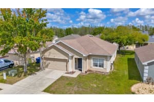 6245 DESERT PEACE AVENUE, LAND O LAKES, FL 34639 - MLS#MFRTB8493988