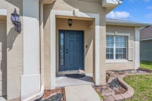 6245 DESERT PEACE AVENUE, LAND O LAKES, FL 34639 - MLS#MFRTB8493988