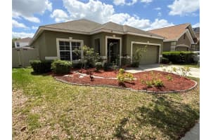 10117 CELTIC ASH DRIVE, RUSKIN, FL 33573 - MLS#MFRTB8494007