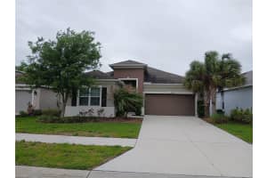 29900 WALSH OAK DRIVE, WESLEY CHAPEL, FL 33545 - MLS#MFRTB8494008