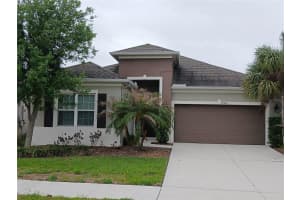 29900 WALSH OAK DRIVE, WESLEY CHAPEL, FL 33545 - MLS#MFRTB8494008