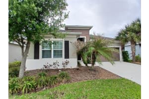 29900 WALSH OAK DRIVE, WESLEY CHAPEL, FL 33545 - MLS#MFRTB8494008