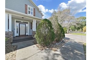 1083 MISTY HOLLOW LANE, TARPON SPRINGS, FL 34688 - MLS#MFRTB8494023