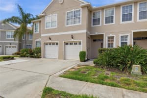 542 BLACK LION DRIVE, ST PETERSBURG, FL 33716 - MLS#MFRTB8494029