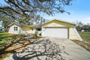 113 RUSKIN AVENUE, SPRING HILL, FL 34606 - MLS#MFRTB8494046