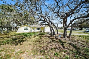 113 RUSKIN AVENUE, SPRING HILL, FL 34606 - MLS#MFRTB8494046