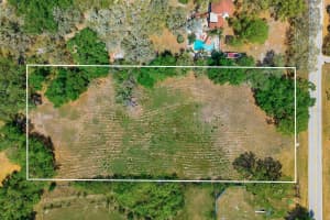 10675 HILLTOP DRIVE, NEW PORT RICHEY, FL 34654 - MLS#MFRTB8494069