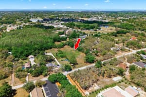 10675 HILLTOP DRIVE, NEW PORT RICHEY, FL 34654 - MLS#MFRTB8494069