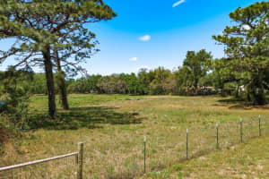 10675 HILLTOP DRIVE, NEW PORT RICHEY, FL 34654 - MLS#MFRTB8494069