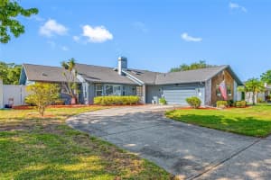 2424 Osprey Ave, PALM HARBOR