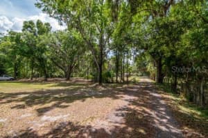 5400 BRUTON ROAD, PLANT CITY, FL 33565 - MLS#MFRTB8494091