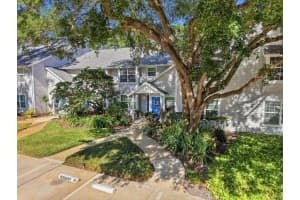 3213 VALLEY OAKS DRIVE, TAMPA, FL 33618 - MLS#MFRTB8494094