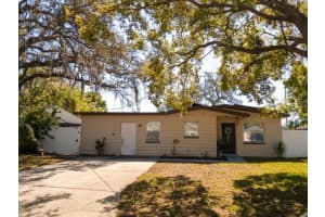 1707 Marvy Ave, TAMPA