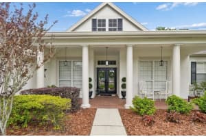 19127 CENTRE ROSE BOULEVARD, LUTZ, FL 33558 - MLS#MFRTB8494143