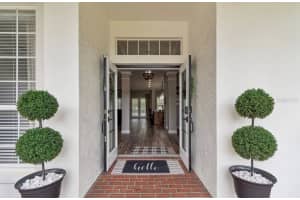 19127 CENTRE ROSE BOULEVARD, LUTZ, FL 33558 - MLS#MFRTB8494143