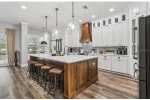 19127 CENTRE ROSE BOULEVARD, LUTZ, FL 33558 - MLS#MFRTB8494143