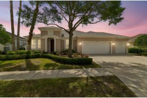5405 Hammock View Ln, APOLLO BEACH