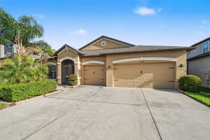 11428 CARLTON FIELDS DRIVE, RIVERVIEW, FL 33579 - MLS#MFRTB8494164