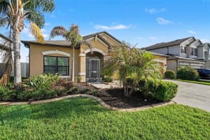 11428 CARLTON FIELDS DRIVE, RIVERVIEW, FL 33579 - MLS#MFRTB8494164