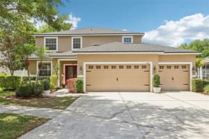 5504 LAKE LETA BOULEVARD, TAMPA, FL 33624 - MLS#MFRTB8494175