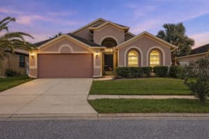 34139 SPRING OAK TRAIL, WESLEY CHAPEL, FL 33545 - MLS#MFRTB8494178