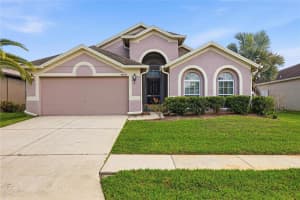 34139 SPRING OAK TRAIL, WESLEY CHAPEL, FL 33545 - MLS#MFRTB8494178