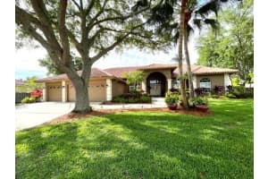 2366 ANTHONY AVENUE, CLEARWATER, FL 33759 - MLS#MFRTB8494194