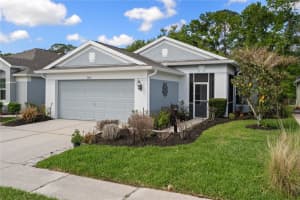 5245 GATO DEL SOL CIRCLE, WESLEY CHAPEL, FL 33544 - MLS#MFRTB8494196