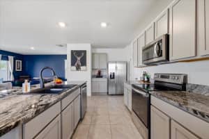 33479 ELM HILL BRANCH, WESLEY CHAPEL, FL 33545 - MLS#MFRTB8494198