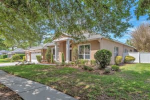 5613 LARK MEADOW PLACE, LITHIA, FL 33547 - MLS#MFRTB8494202