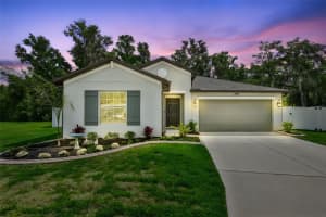 2838 LYTTON HALL DRIVE, ZEPHYRHILLS, FL 33540 - MLS#MFRTB8494212