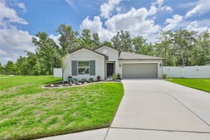2838 LYTTON HALL DRIVE, ZEPHYRHILLS, FL 33540 - MLS#MFRTB8494212