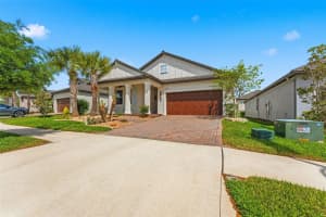 31493 CANNON RUSH DRIVE, SAN ANTONIO, FL 33576 - MLS#MFRTB8494225