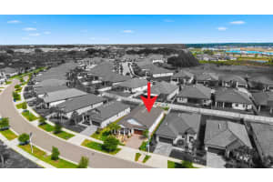 31493 CANNON RUSH DRIVE, SAN ANTONIO, FL 33576 - MLS#MFRTB8494225