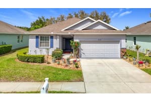 11213 KISKADEE CIRCLE, NEW PORT RICHEY, FL 34654 - MLS#MFRTB8494229