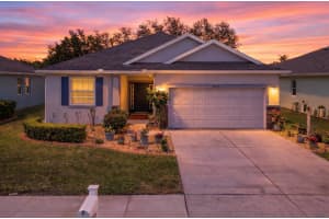 11213 KISKADEE CIRCLE, NEW PORT RICHEY, FL 34654 - MLS#MFRTB8494229